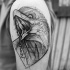 Tatuaje en el brazo, diseño gris de águila maravillosa