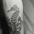 Tatuaje en el antebrazo,
caballo de mar y corales, dibujo monocromo