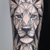 Tatuagem de antebraço de tinta preta de estilo geométrico velha escola do retrato de leão