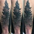 Tatuaje en el antebrazo, planetas reflejadas en pino