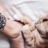 Tatuagem de pulso de tinta preta estilo ornamental de cabeça de gato