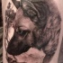inchiostro verniciato pastore tedesco su natura tatuaggio