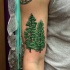 Pair of bright green pine trees detailed biceps tattoo