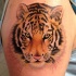 Foto come un tatuaggio colorato sulla spalla di una piccola tigre carina