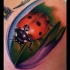 Tatuaggio colorato la coccinella & la foglia