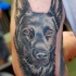 bellissimo pastore tedesco tatuaggio su gomito