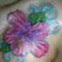 ibisco viola tatuaggio sulla spalla