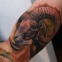 Tatuaje en el brazo, ovis hermoso multicolor