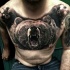 Tatuaje en el pecho,  oso pardo magnífico realista