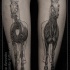 Realism style black ink leg tattoo of horse skeleton with muscles