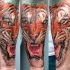 Realism style colored forearm tattoo of large roaring tiger