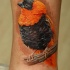 Realism style colored leg tattoo of beautiful bird