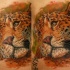 Realism style colored leopard tattoo