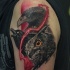 Realism style colored shoulder tattoo of various birds heads