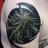 Realism style colored shoulder tattoo of Cannabis plant