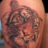 Realism style colored thigh tattoo of