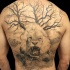 Realism style lifelike whole back tatto of desert tree with roaring lion