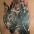 ritratto gatto sfinge realistico 3d tatuaggio