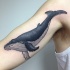 Tatuaje de ballena  linda en el brazo