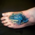 Tatuaje  de sapo venenoso en el pie