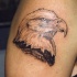 realistica testa di aquila tatuaggio