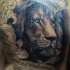 Realistisch aussehendes im schwarzen und grauen Stil Tattoo am ganzen Rücken  von König Löwen mit Schriftzug