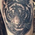 Tatuaje  de tigre amenazante, gris y negro