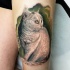 Tatuaggio realistico il gatto sul fondo verde