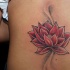 rosso fiore loto tatuaggio sulla schiena
