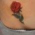 Precioso tatuaje de la rosa