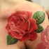 Tatuaggio simpatico sul deltoide la rosa rossa