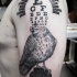 Science style black ink shoulder tattoo of big bird with letters and numbers