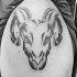 Tatuaje  de  cabeza de aries simple no pintado