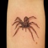 semplice 3D fatto a casa ragno tatuaggio su braccio