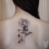 Tinta preta projetada simples pintada por Zihwa volta tatuagem de rosa