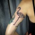 Tatuaje en el brazo, flamenco exclusivo interesante