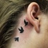 Tatuaje de aves diminutas detrás de la oreja