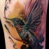 Spektakuläres natürlich aussehendes Kolibri Tattoo am Arm