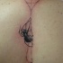 Spinne webt ein Netz Tattoo am Rücken