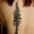 Tatuaje en la espalda de un árbol abeto.