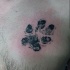 Stippling style black ink animal paw print