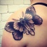 Stippling style black ink butterfly tattoo on shoulder
