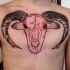 Stippling style colored chest tattoo of creepy goat