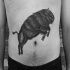 Stunning looking black ink belly tattoo of jumping grunting ox