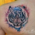 Erstaunlicher Tigerkopf mit bunten Farbentropfen Schulterblatt Tattoo von Javi Wolf mit Aquarell Details