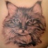 Tatuaje del retrato de gato