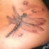 super realistico libellula tatuaggio su costolette