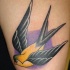 Tatuaggio colorato la rondine