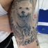 Tatuaje en el brazo, perro blanco bonito con reloj simple