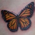 Le tatouage de papillon réaliste